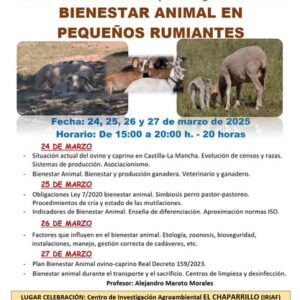 Curso gratuito sobre Bienestar Animal en Pequeños Rumiantes